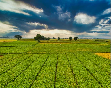 Agroindustria
